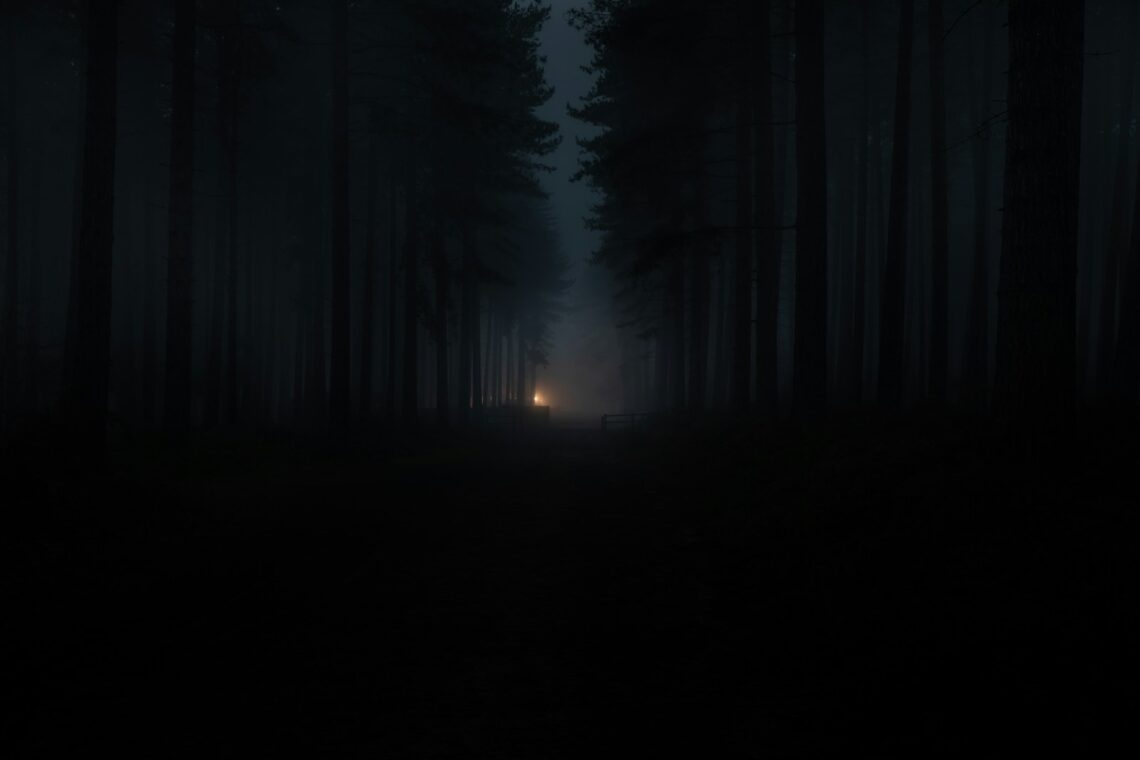 silhouette of person standing on forest during night time